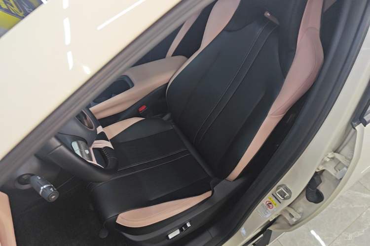 Used BYD Seagull 2023 Flying Edition Left Front Seat