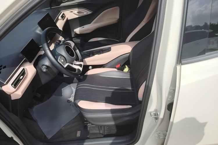 Used BYD Seagull 2023 Free Edition Left Front Seat