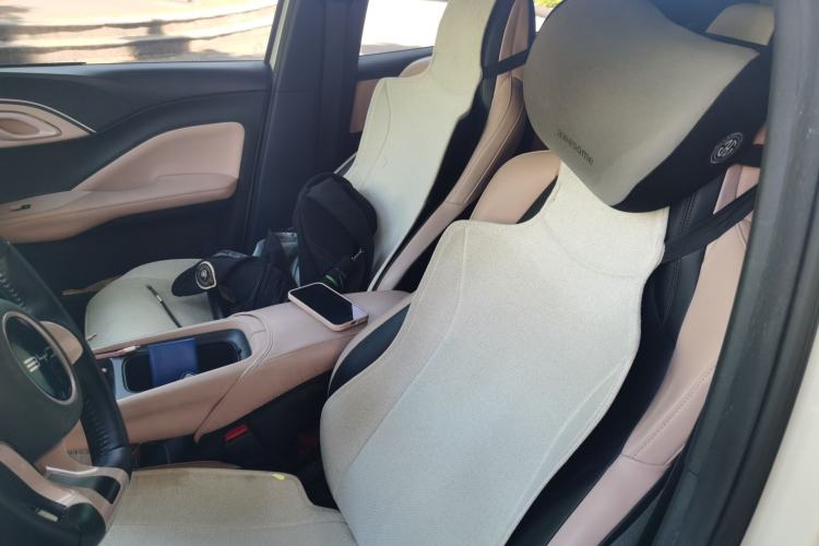 Used BYD Seagull 2023 Flying Edition Left Front Seat