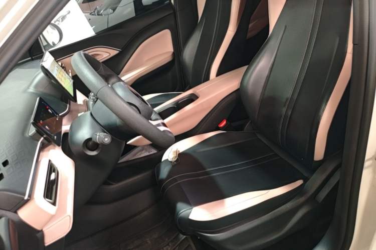 Used BYD Seagull 2023 Active Version Left Front Seat