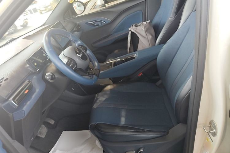 Used BYD Seagull 2023 Flying Edition Left Front Seat