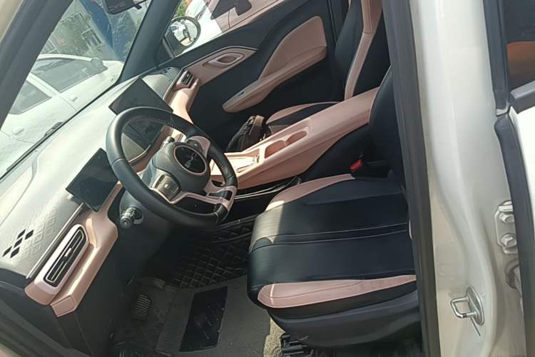 Used BYD Seagull 2023 Free Edition Left Front Seat