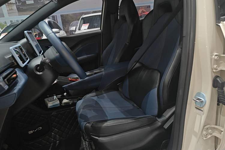 Used BYD Seagull 2023 Free Edition Left Front Seat