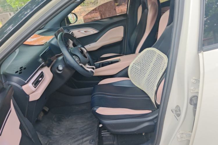 Used BYD Seagull 2023 Free Edition Left Front Seat