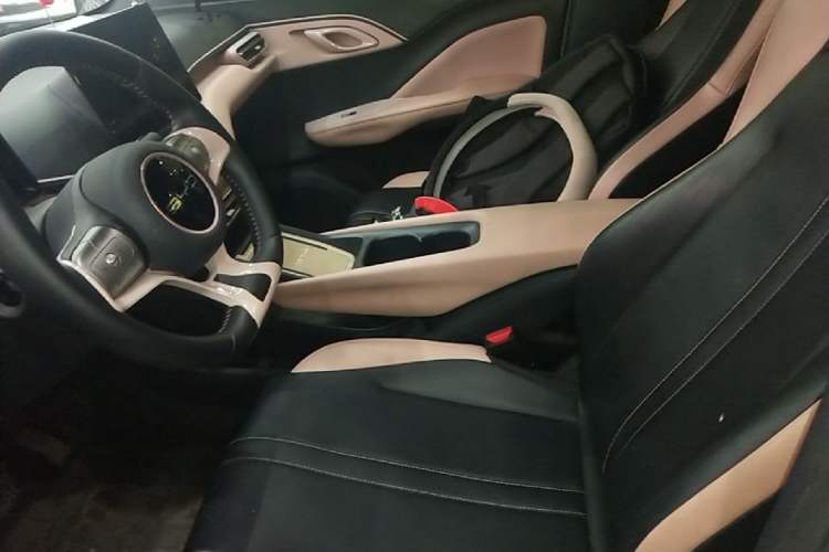 Used BYD Seagull 2023 Free Edition Left Front Seat