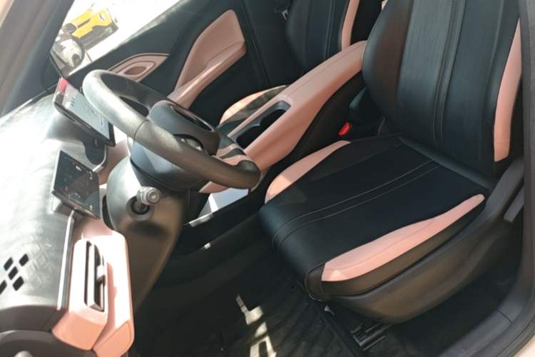 Used BYD Seagull 2023 Active Version Left Front Seat