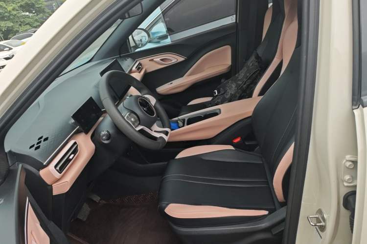 Used BYD Seagull 2023 Active Version Left Front Seat