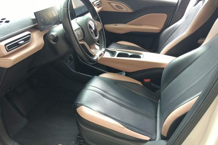 Used BYD Seagull 2023 Free Edition Left Front Seat