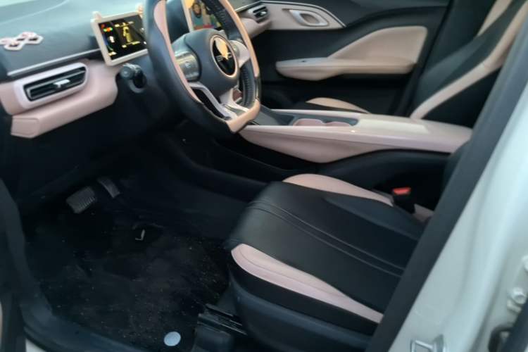 Used BYD Seagull 2023 Free Edition Left Front Seat