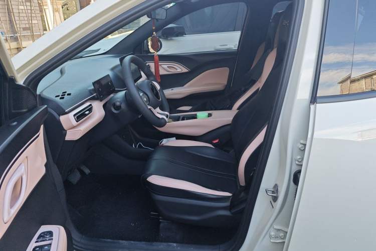 Used BYD Seagull 2023 Active Version Left Front Seat