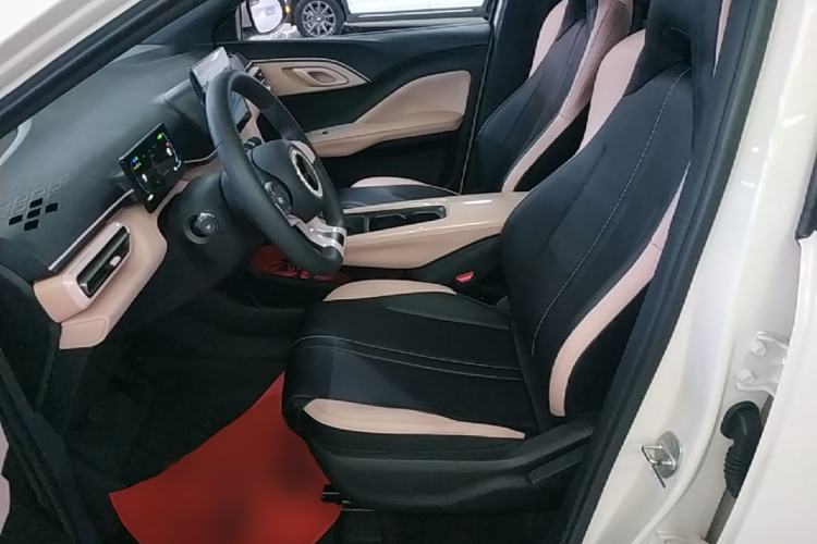 Used BYD Seagull 2023 Active Version Left Front Seat