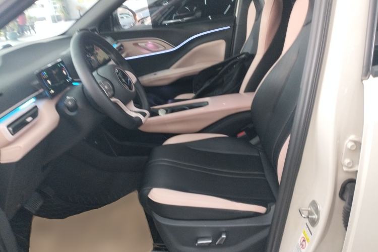 Used BYD Seagull 2023 Flying Edition Left Front Seat