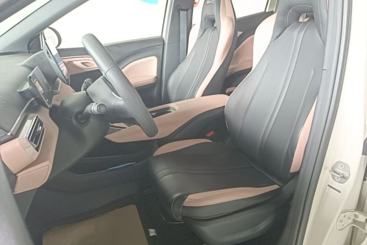 Used BYD Seagull 2023 Active Version Left Front Seat