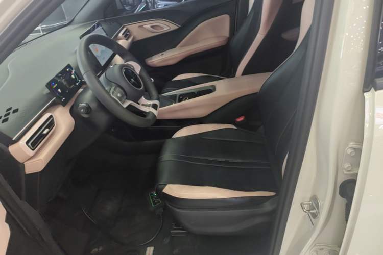 Used BYD Seagull 2023 Active Version Left Front Seat