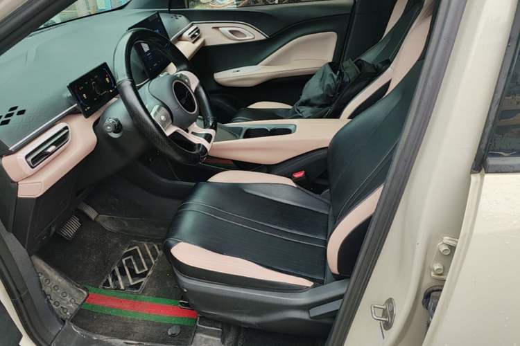 Used BYD Seagull 2023 Active Version Left Front Seat