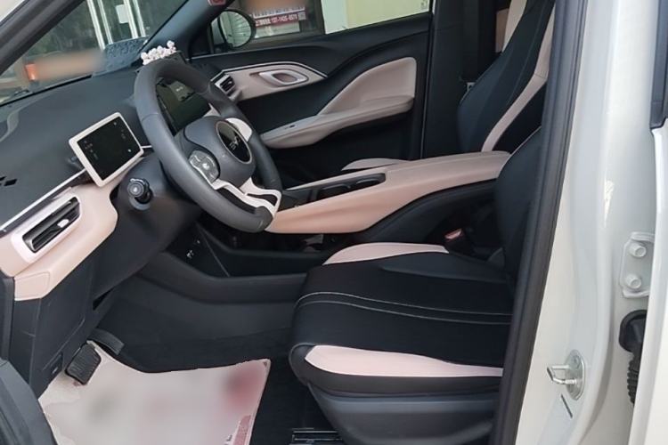 Used BYD Seagull 2023 Active Version Left Front Seat