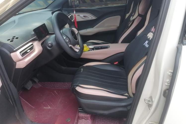 Used BYD Seagull 2023 Free Edition Left Front Seat