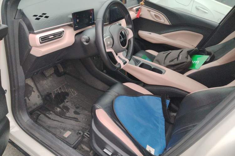 Used BYD Seagull 2023 Flying Edition Left Front Seat