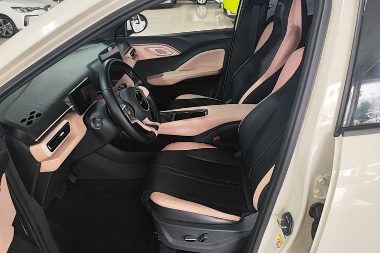 Used BYD Seagull 2023 Flying Edition Left Front Seat