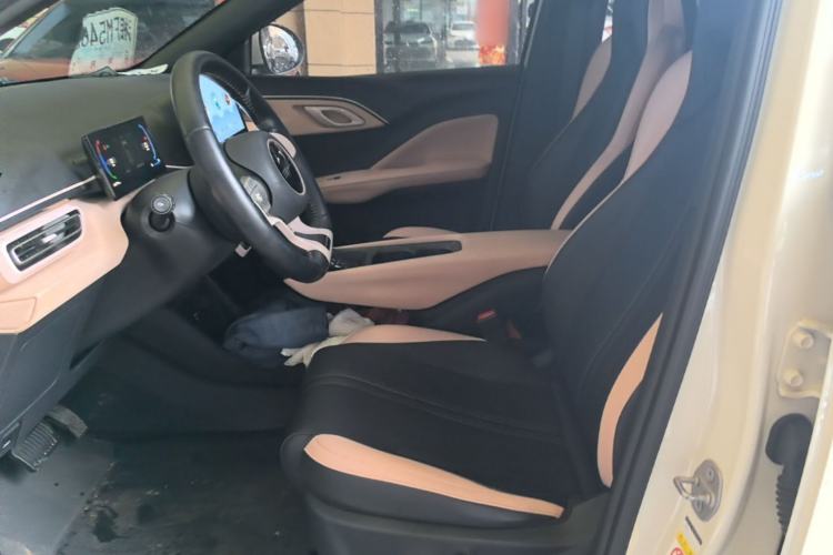 Used BYD Seagull 2023 Flying Edition Left Front Seat