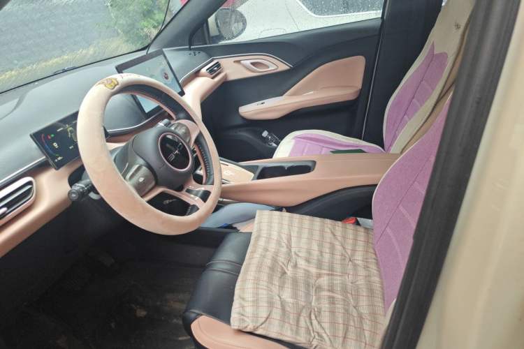 Used BYD Seagull 2023 Free Edition Left Front Seat