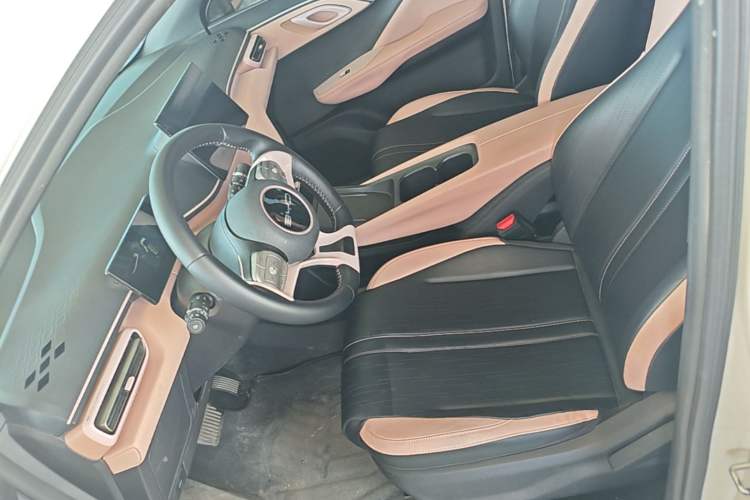 Used BYD Seagull 2023 Free Edition Left Front Seat