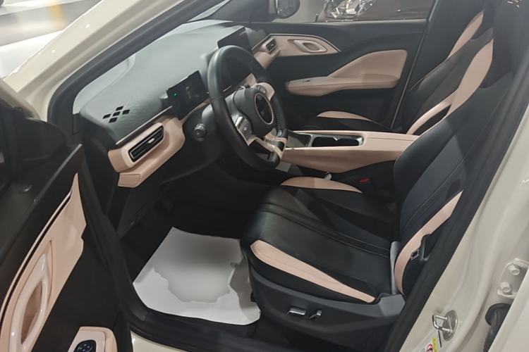 Used BYD Seagull 2023 Flying Edition Left Front Seat