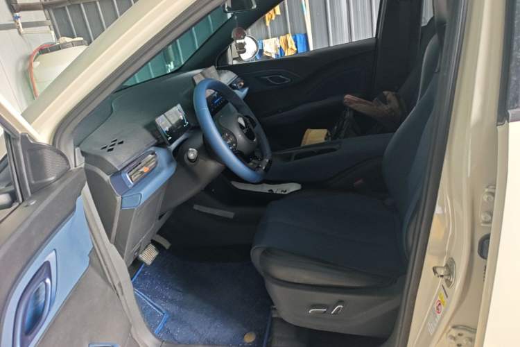 Used BYD Seagull 2023 Flying Edition Left Front Seat