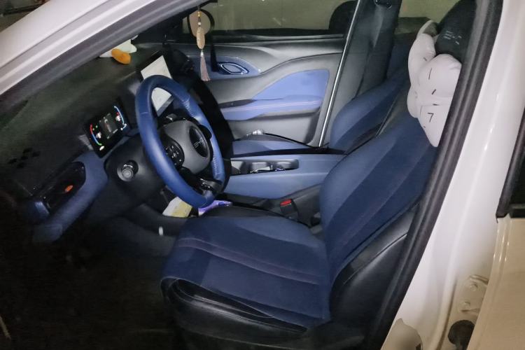 Used BYD Seagull 2023 Flying Edition Left Front Seat