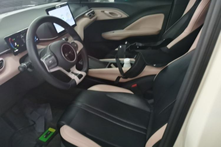 Used BYD Seagull 2023 Flying Edition Left Front Seat