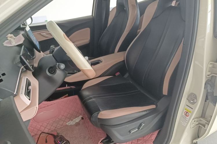 Used BYD Seagull 2023 Flying Edition Left Front Seat