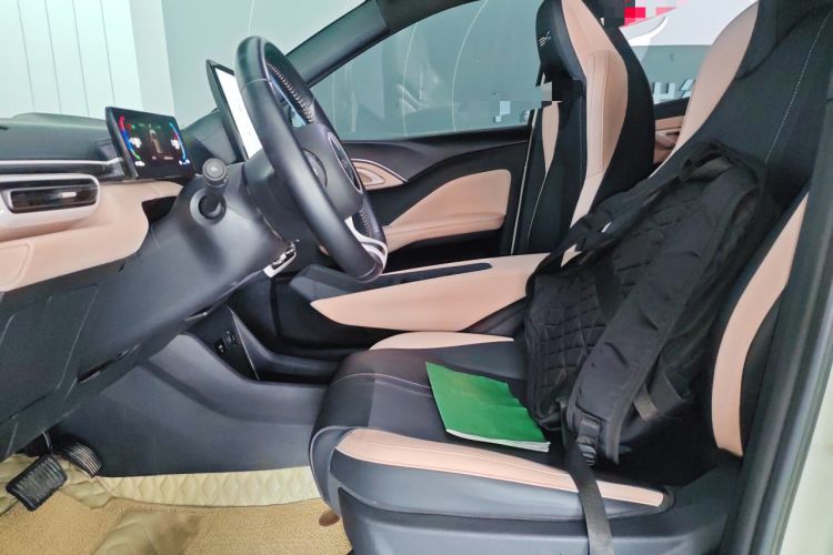 Used BYD Seagull 2023 Flying Edition Left Front Seat