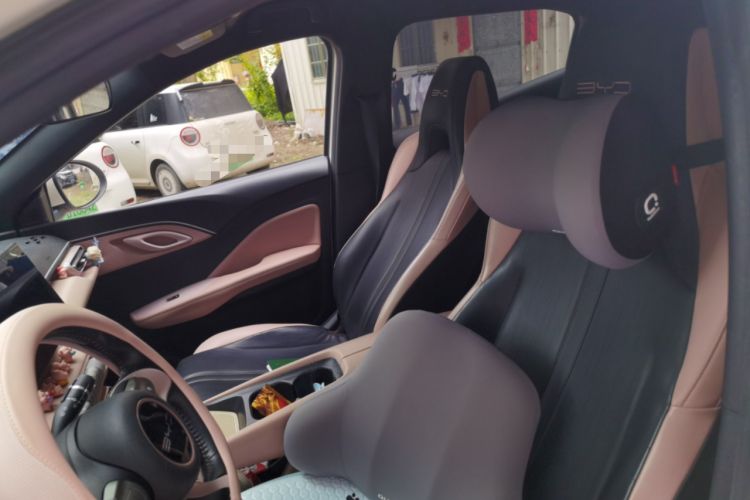 Used BYD Seagull 2023 Flying Edition Left Front Seat