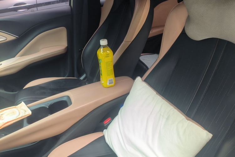 Used BYD Seagull 2023 Flying Edition Left Front Seat