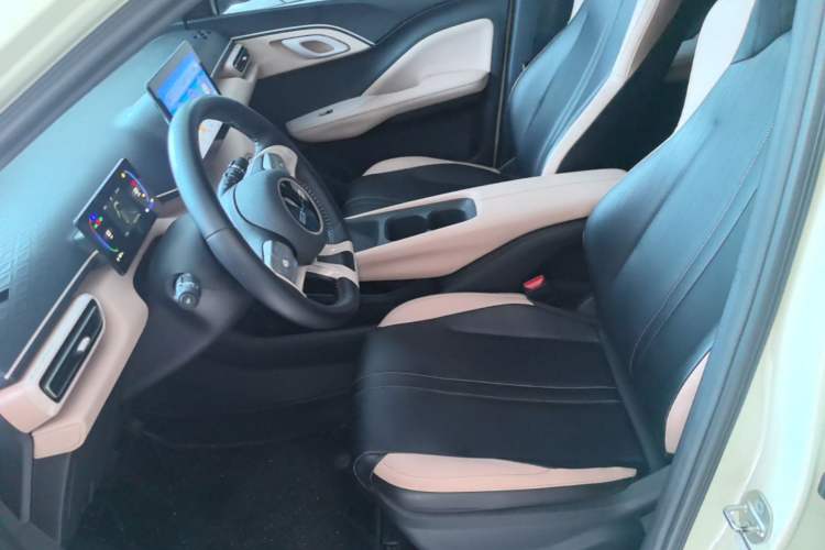 Used BYD Seagull 2023 Free Edition Left Front Seat