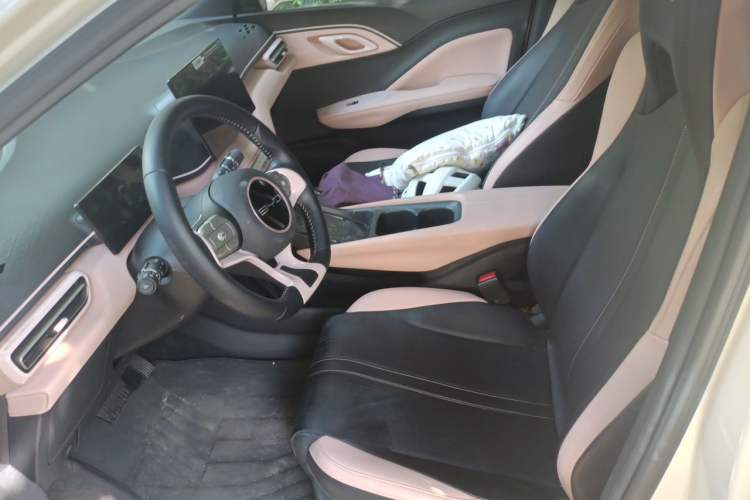 Used BYD Seagull 2023 Flying Edition Left Front Seat