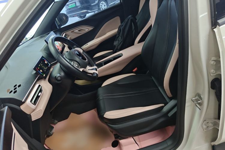 Used BYD Seagull 2023 Free Edition Left Front Seat