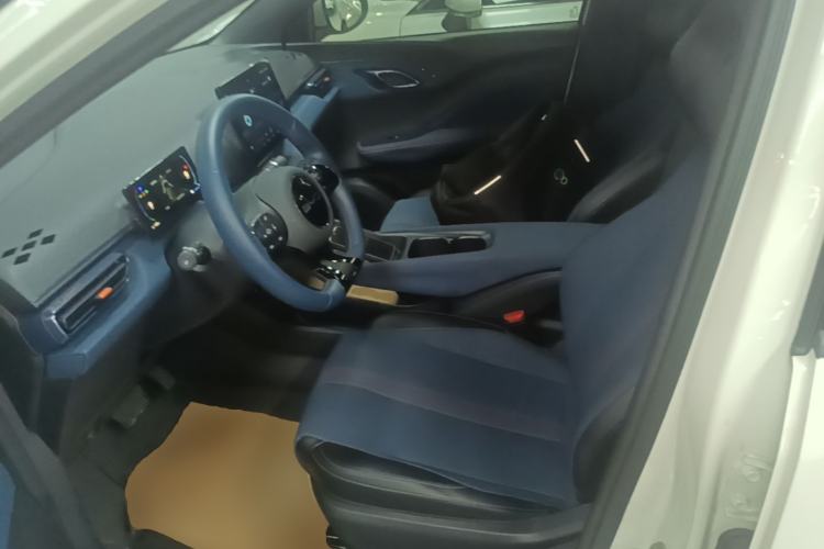 Used BYD Seagull 2023 Free Edition Left Front Seat