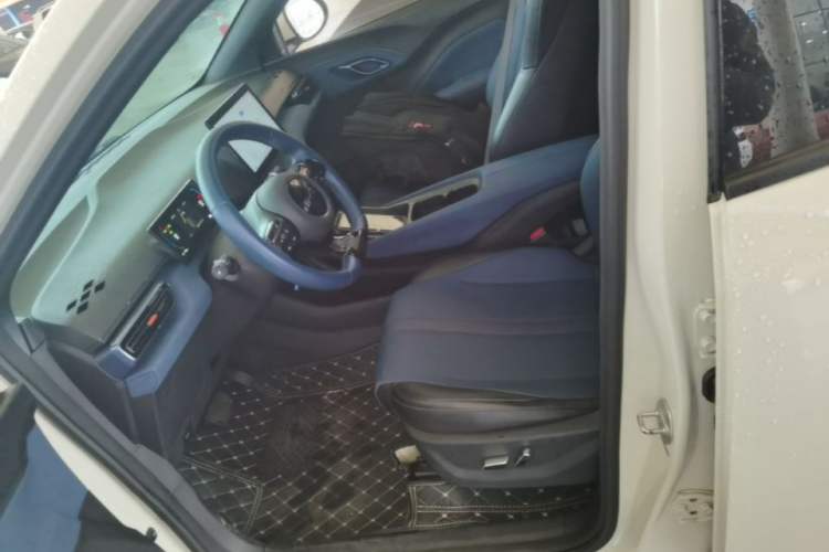Used BYD Seagull 2023 Flying Edition Left Front Seat