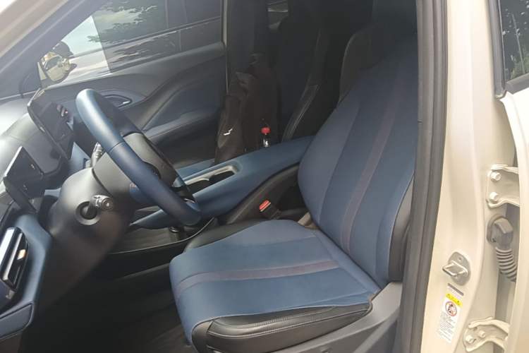 Used BYD Seagull 2023 Flying Edition Left Front Seat