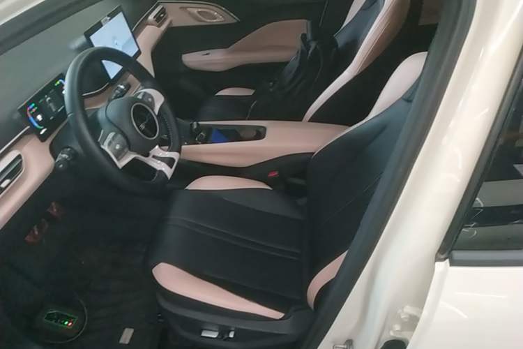 Used BYD Seagull 2023 Flying Edition Left Front Seat
