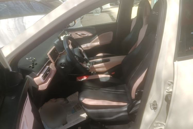 Used BYD Seagull 2023 Free Edition Left Front Seat