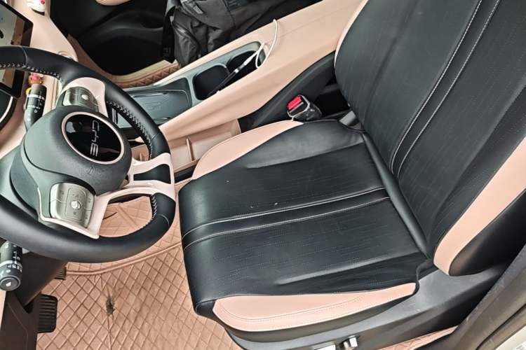 Used BYD Seagull 2023 Flying Edition Left Front Seat