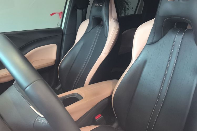 Used BYD Seagull 2023 Flying Edition Left Front Seat