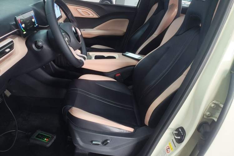 Used BYD Seagull 2023 Flying Edition Left Front Seat