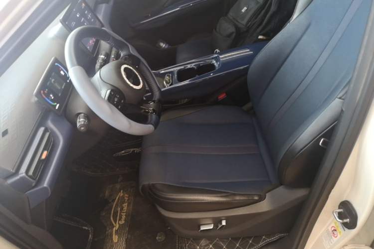 Used BYD Seagull 2023 Flying Edition Left Front Seat