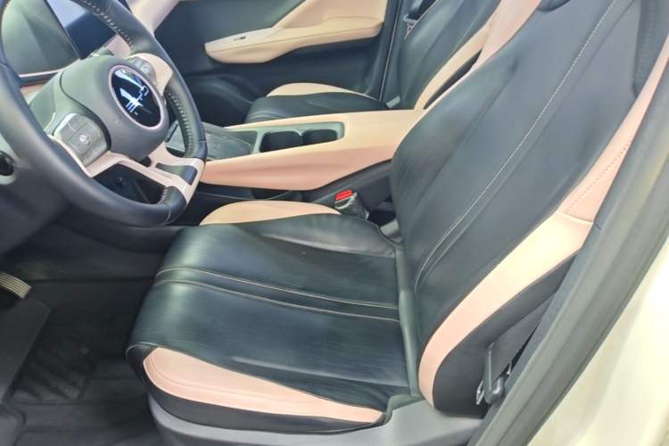 Used BYD Seagull 2023 Flying Edition Left Front Seat