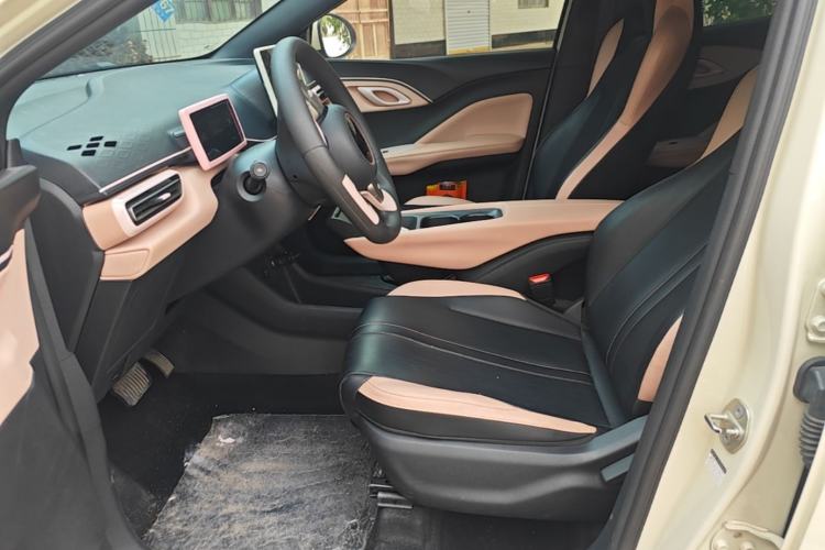 Used BYD Seagull 2023 Active Version Left Front Seat