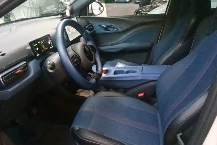 Used BYD Seagull 2023 Free Edition Left Front Seat