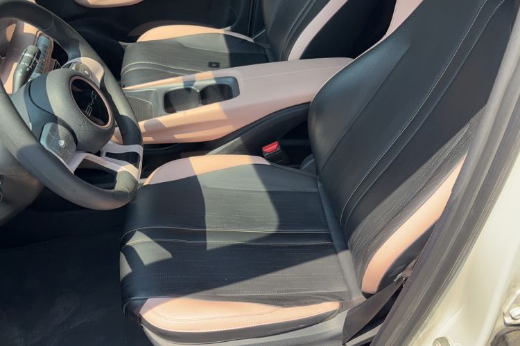 Used BYD Seagull 2023 Active Version Left Front Seat